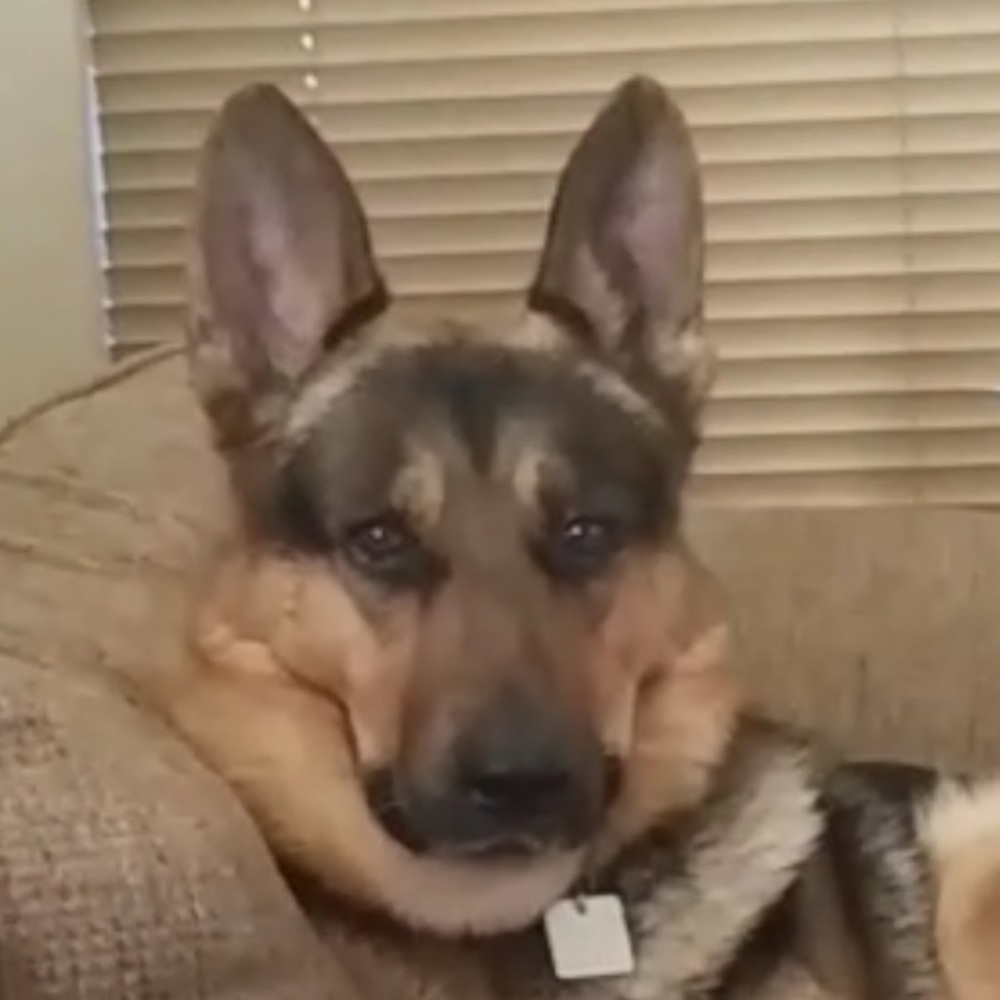 Meet your Posher, Kayley